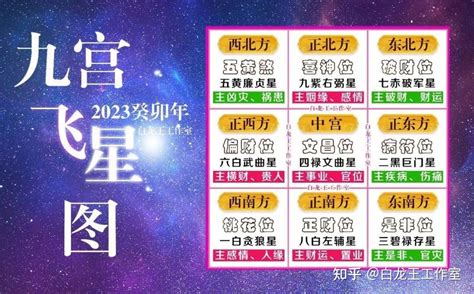 九官飛星2023